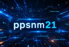 PPSNM21