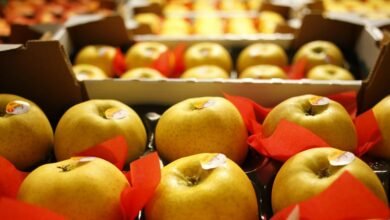 Latest Articles Travelling Apples