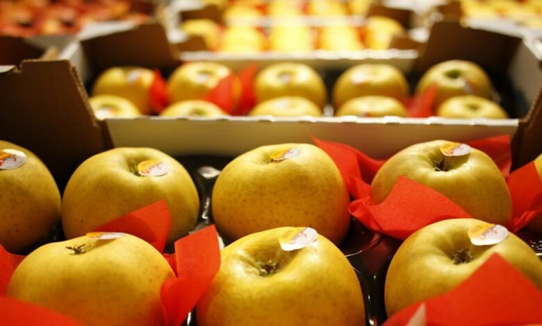 Latest Articles Travelling Apples